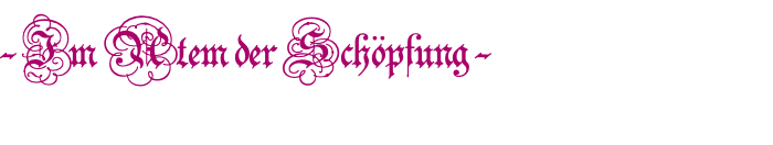 - Im Atem der Schöpfung -  
