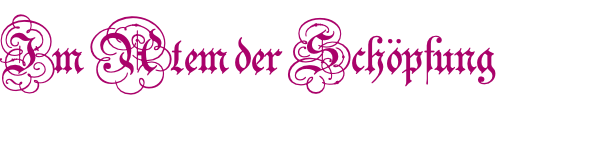 Im Atem der Schöpfung  